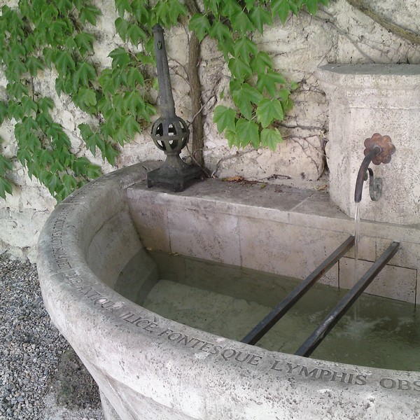 Margelle Gravée en pierre sur une fontaine